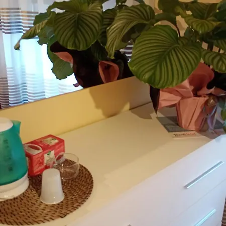 Apartmán Home *